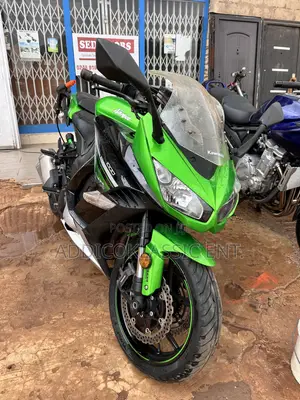 Kawasaki Ninja 1000 2017 Green