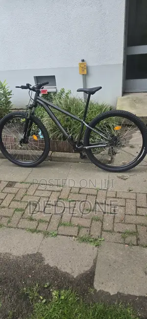 Rock Bicycle