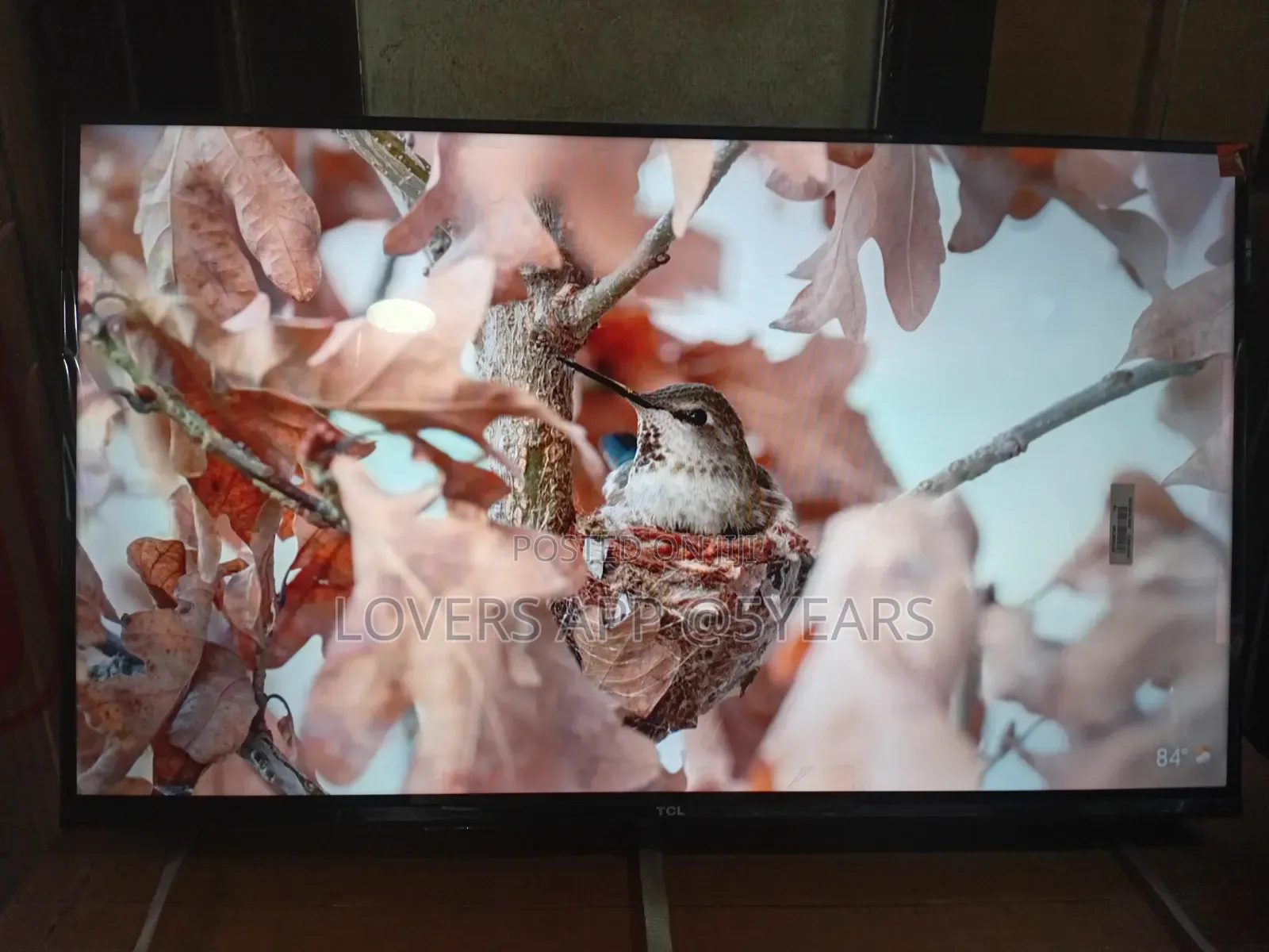 Real Entertainment 32"TCL Television Google Television