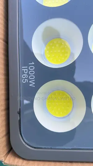 1000W Heavy Duty Floodlight