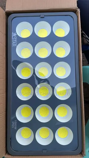 1000W Heavy Duty Floodlight