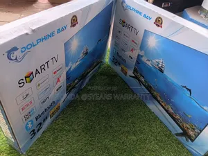 Dolphine Bay TV - Frameless, Best Price