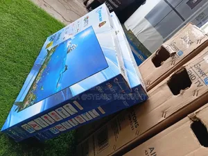 Dolphine Bay- Cheap Price With a Year Warranty
