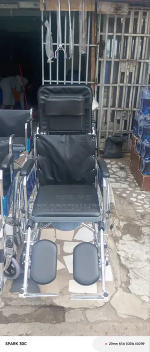 Executive Wheelchair With Backrest