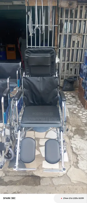 Executive Wheelchair With Backrest