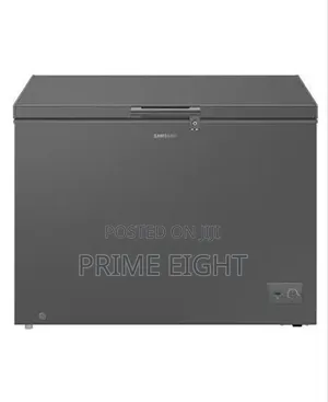 The Samsung 287L Chest Freezer (Model RI70F29V1GAGH)dark Gray Freezer