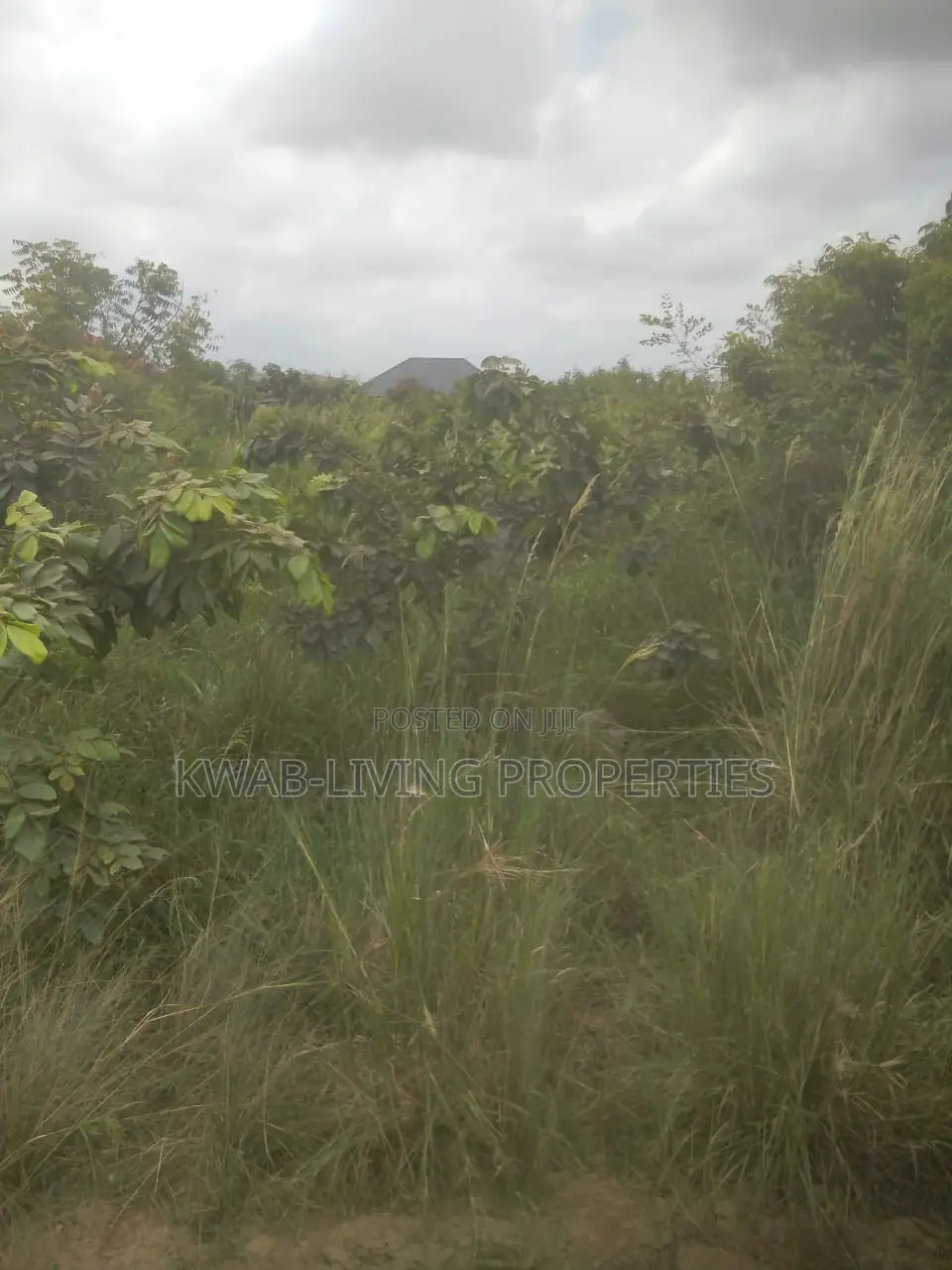 Titled Land for Sale at Amrahia