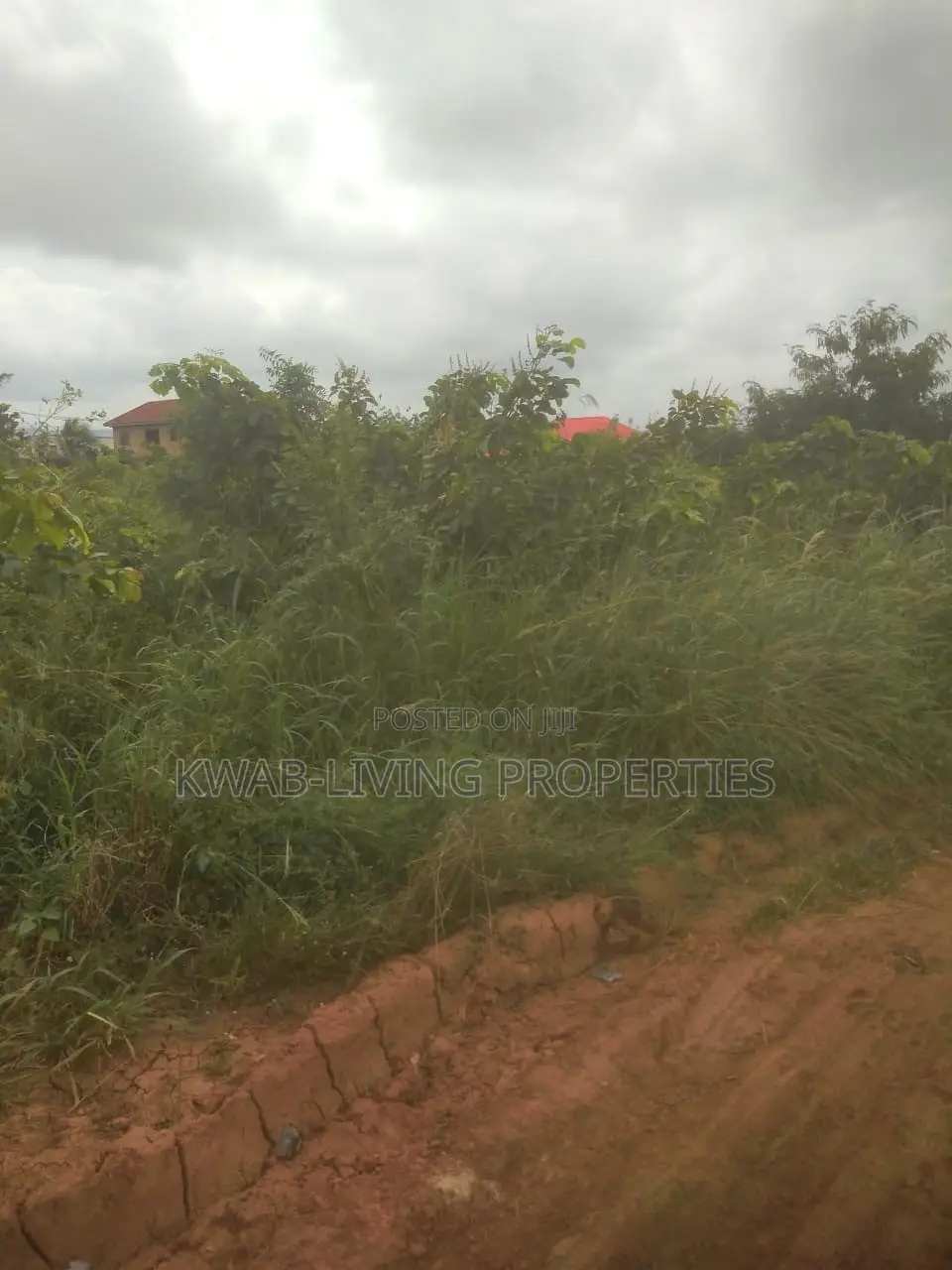 Titled Land for Sale at Amrahia