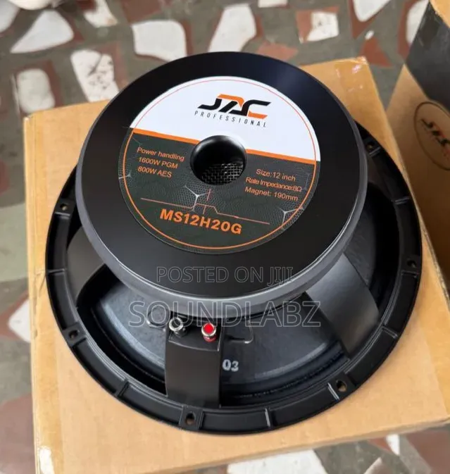 JAC Professional MS12H20G 12-Inch Single Magnet Naked Raw Speaker