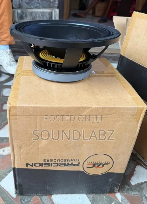 JAC Professional MS12H20G 12-Inch Single Magnet Naked Raw Speaker