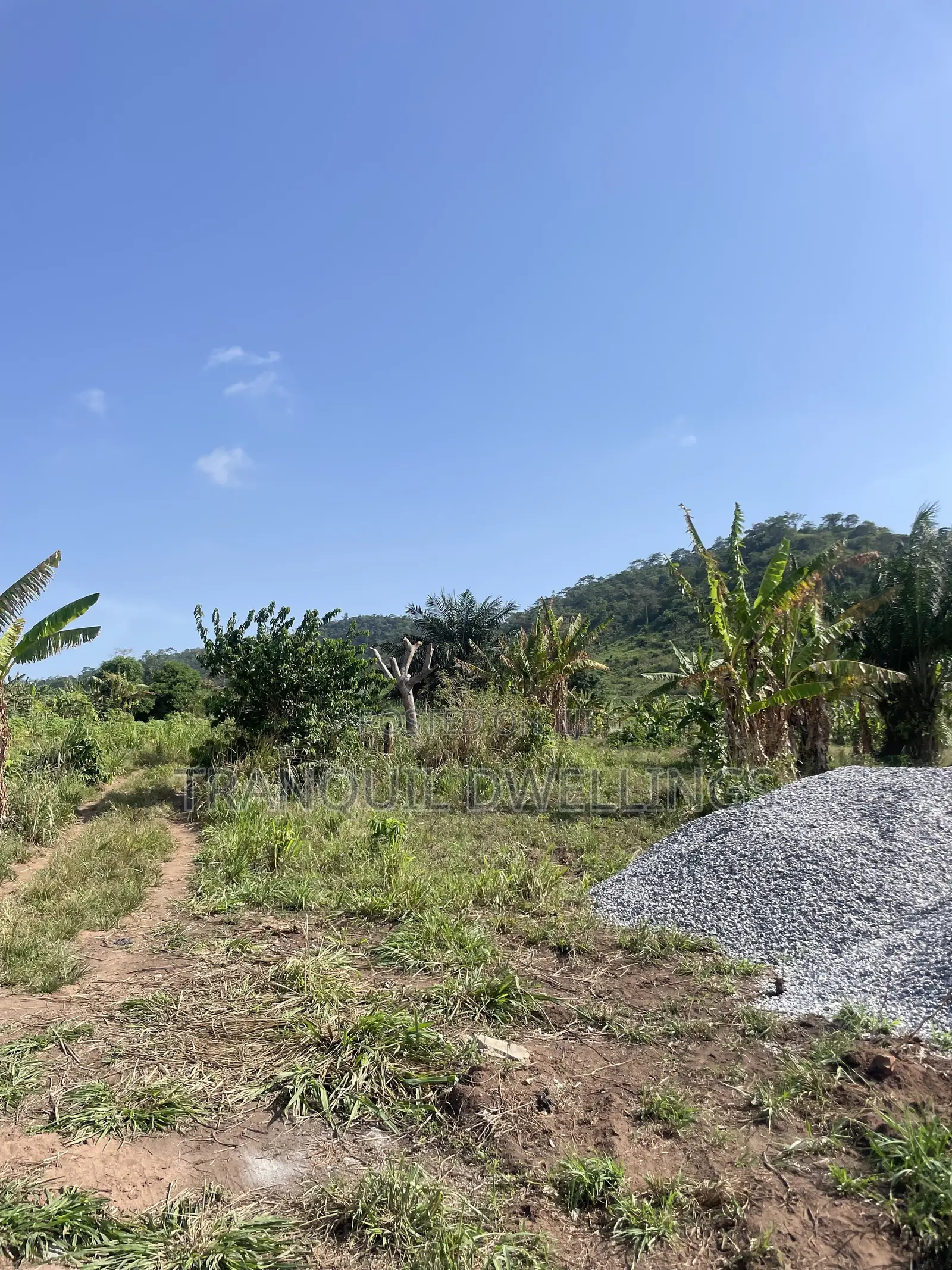 Titled Land for Sale — Mayera