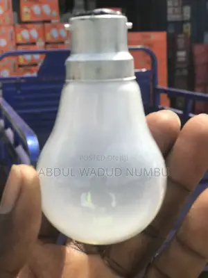 Incubator Heating Bulbs