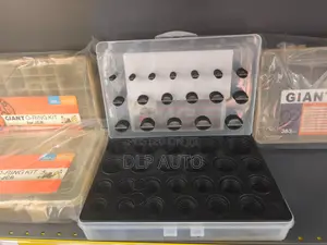 Universal O-Ring Kit