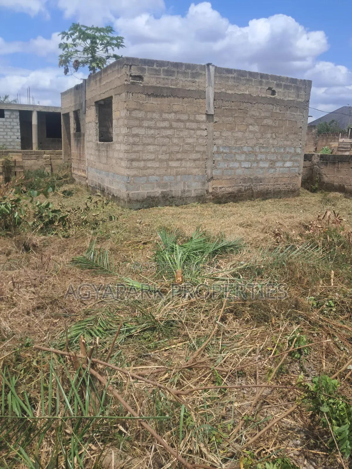 Plot With Chamber and Hall Uncompleted