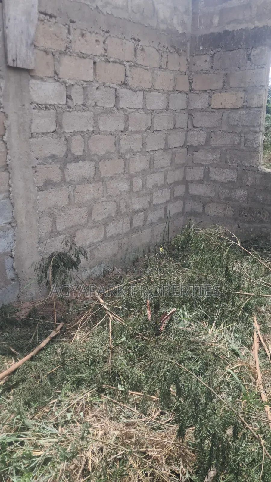 Plot With Chamber and Hall Uncompleted