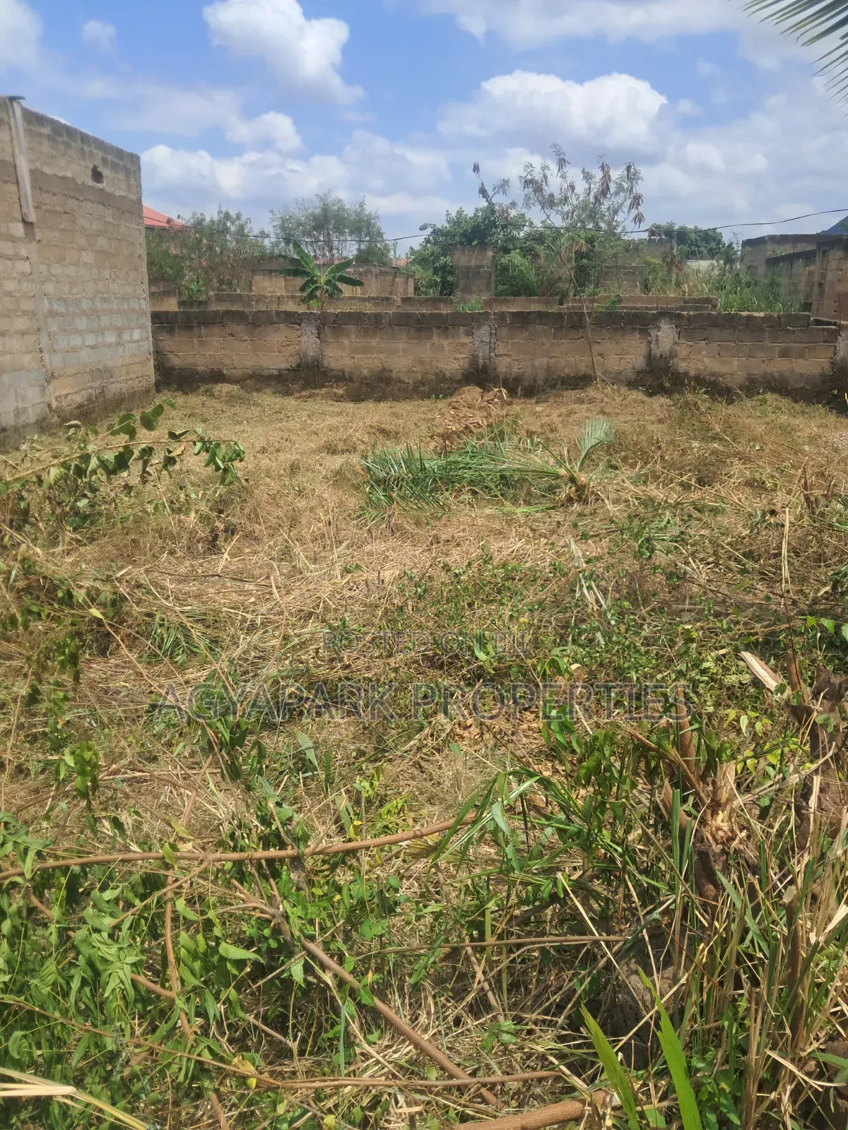 Plot With Chamber and Hall Uncompleted