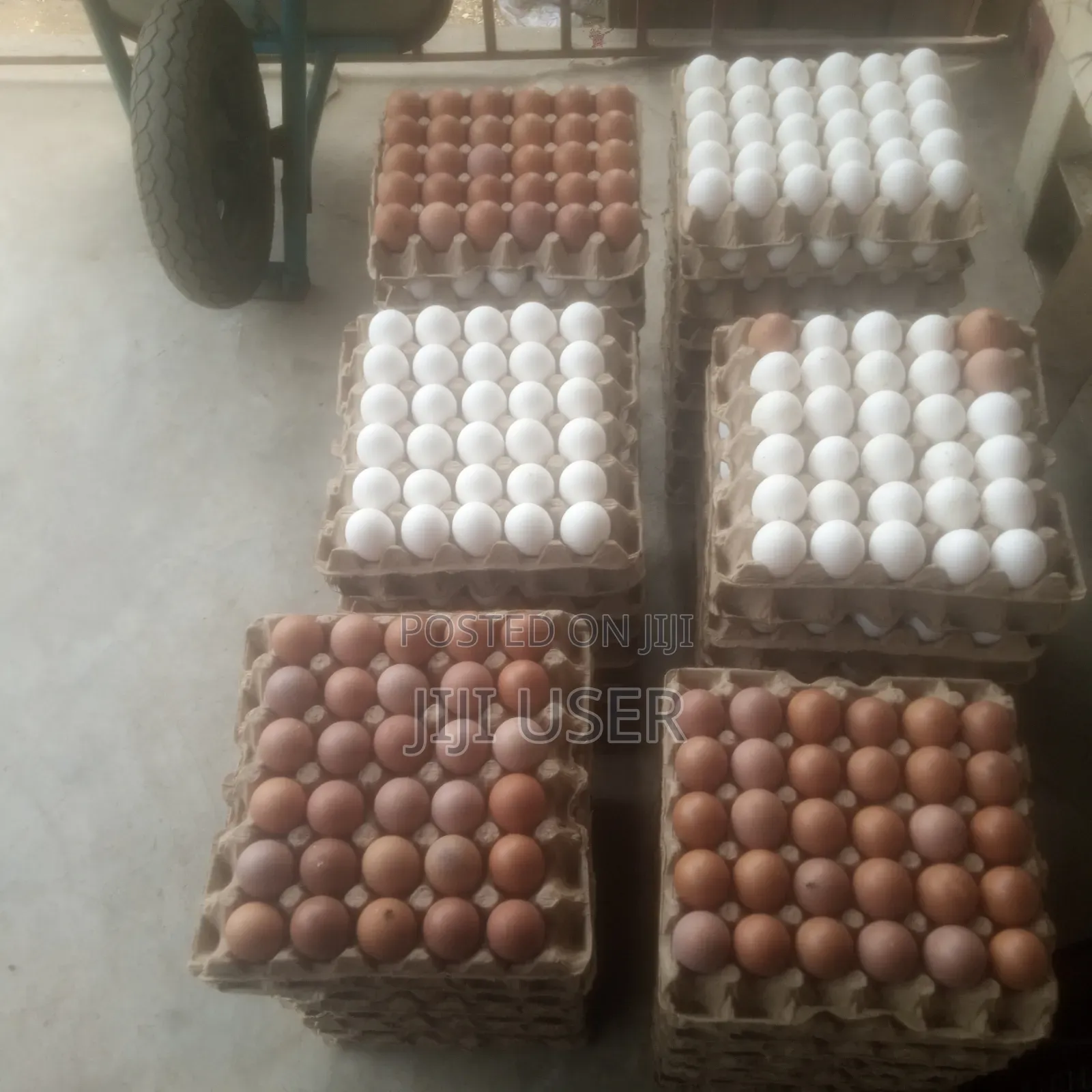 Fresh Eggs Available