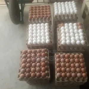 Fresh Eggs Available