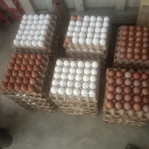 Fresh Eggs Available