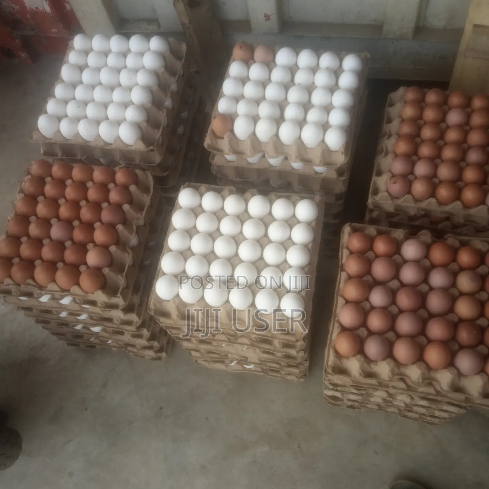 Fresh Eggs Available
