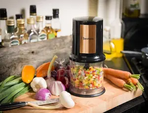 Electric Mini Chopper