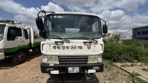 Hyundai 5 Tons Truck