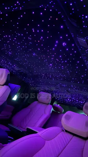 RGBW Car Starlight Headliner Kit for All Cars