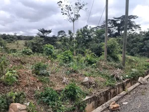 2 Plots of Land at Aburi Obosomase for Sale