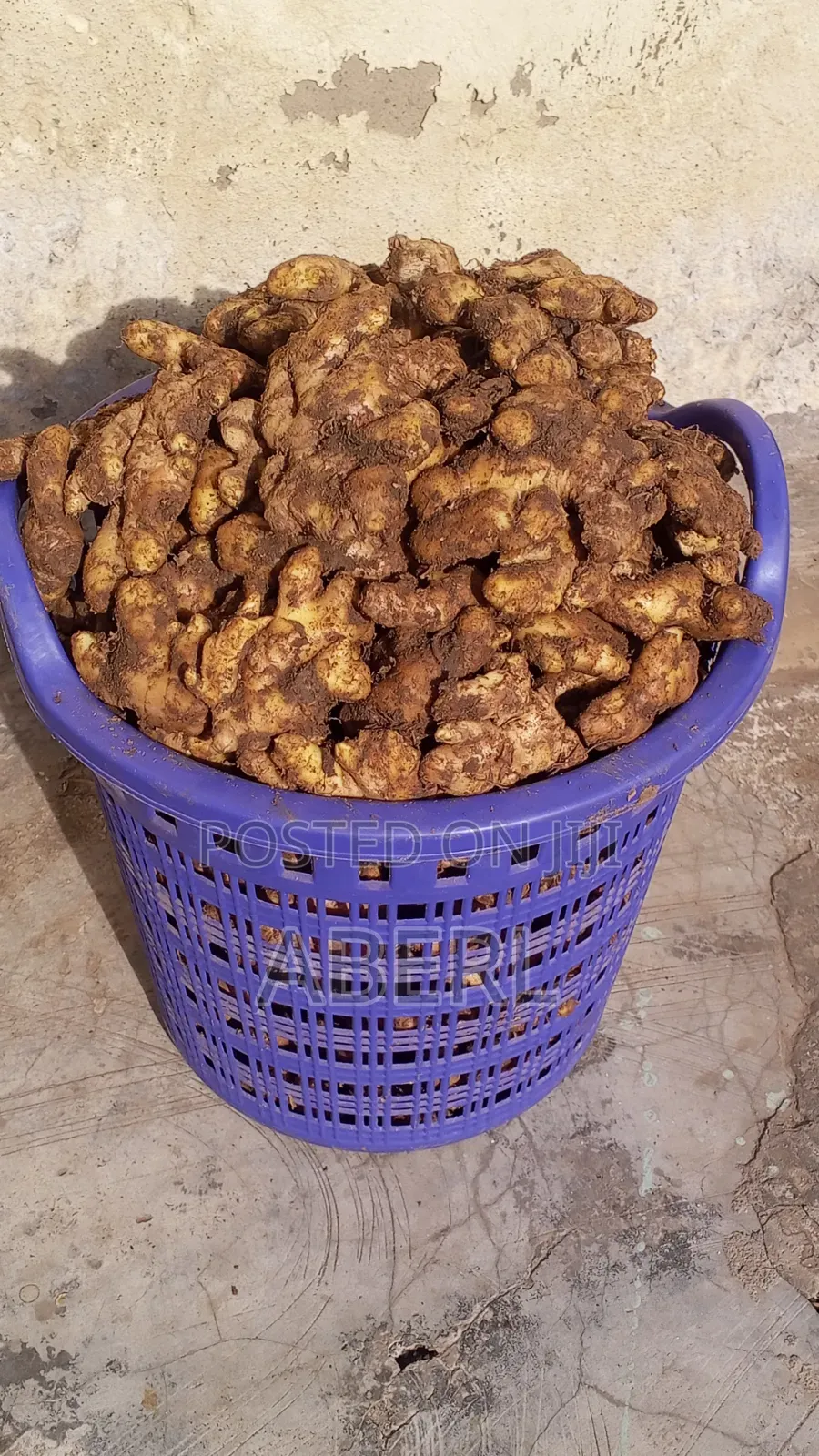 Fresh Affordable Ginger Available