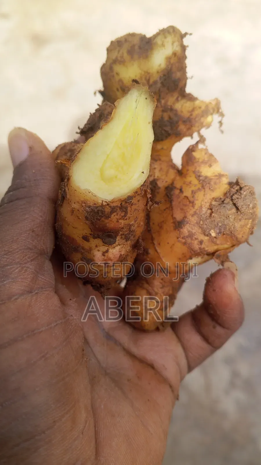Fresh Affordable Ginger Available