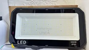 Brighten Your Home, Shop, Compound, or Outdoor Space With Flood Light