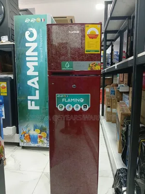Flamino Double Door Fridge- Freeze Anything You Like