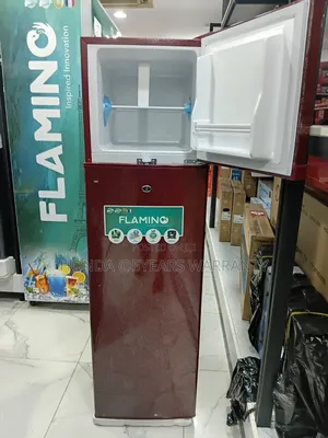 Flamino Double Door Fridge- Freeze Anything You Like