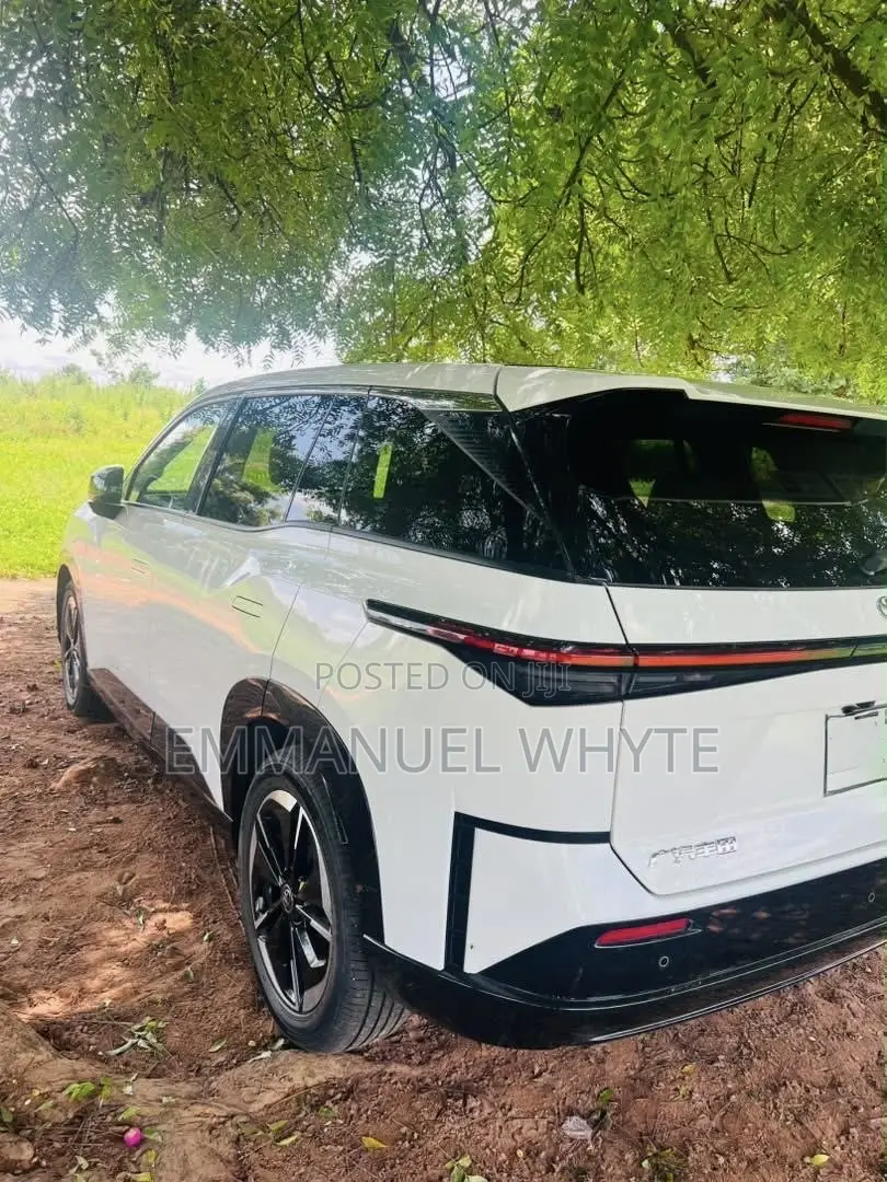 Ev Cars Available