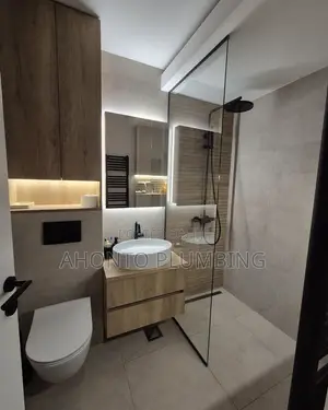 Professional WC & Basin Installation