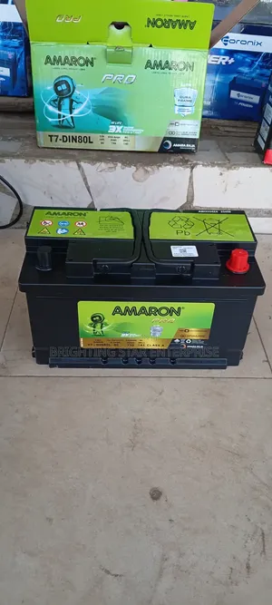 Amaron Battery