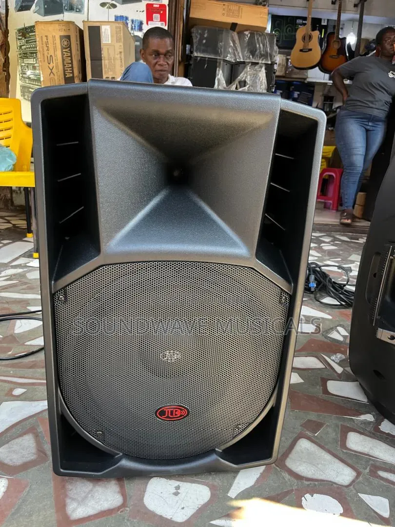 A Pair of JLD-1315 Passive Speaker