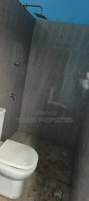 1bdrm Apartment in Amasaman Danchira, Ga South Municipal for rent