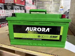 100ah 19plate Aurora Battery