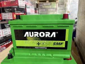 15 Plate 66ah Aurora Battery