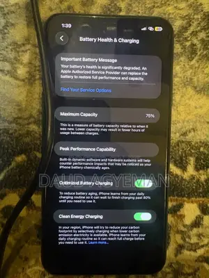 Apple iPhone 11 Pro Max 256 GB Gray