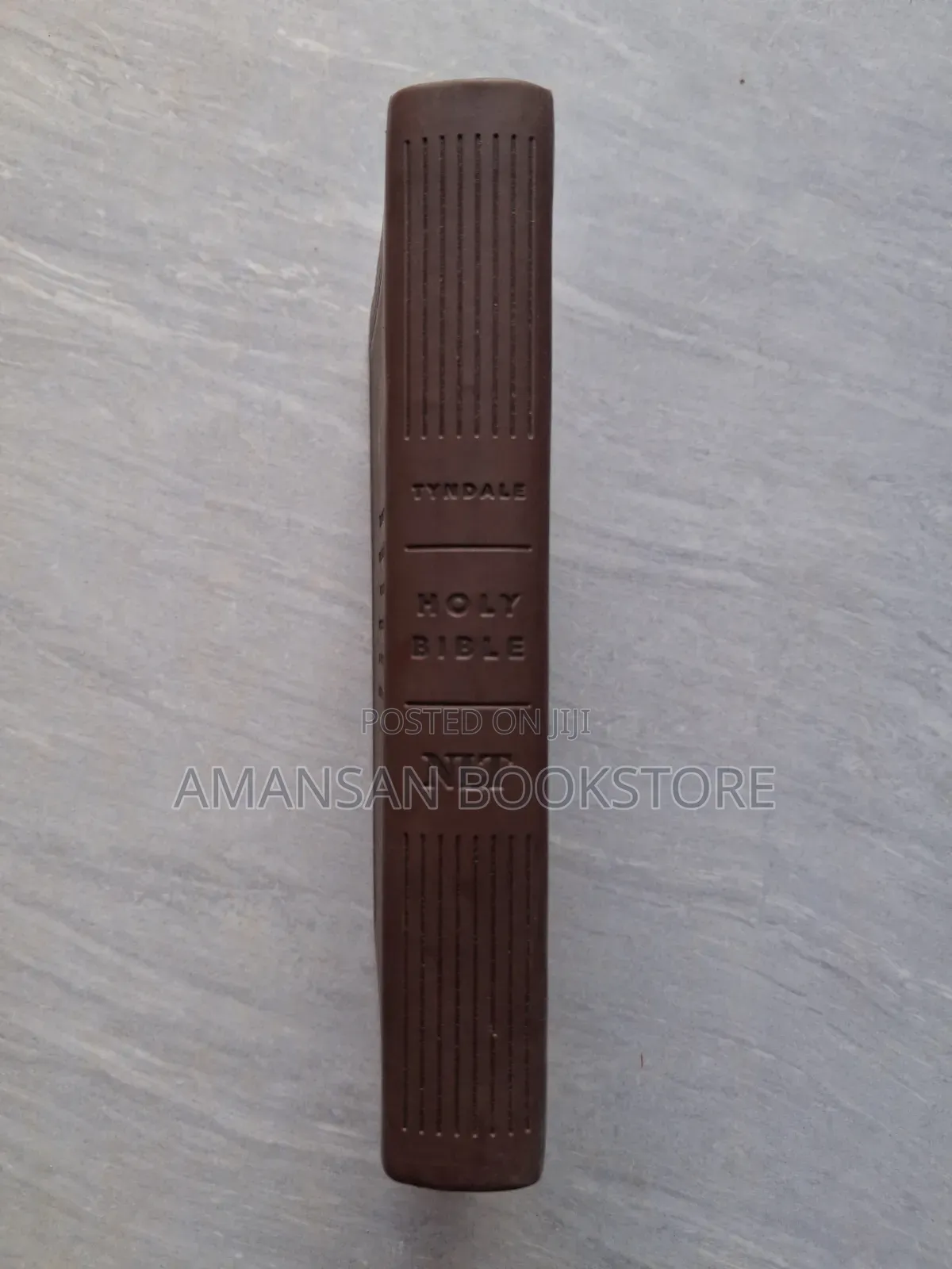 NLT Holy Bible (Small, Leather)
