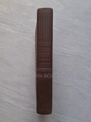NLT Holy Bible (Small, Leather)
