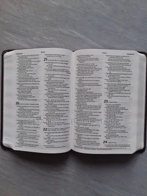 NLT Holy Bible (Small, Leather)
