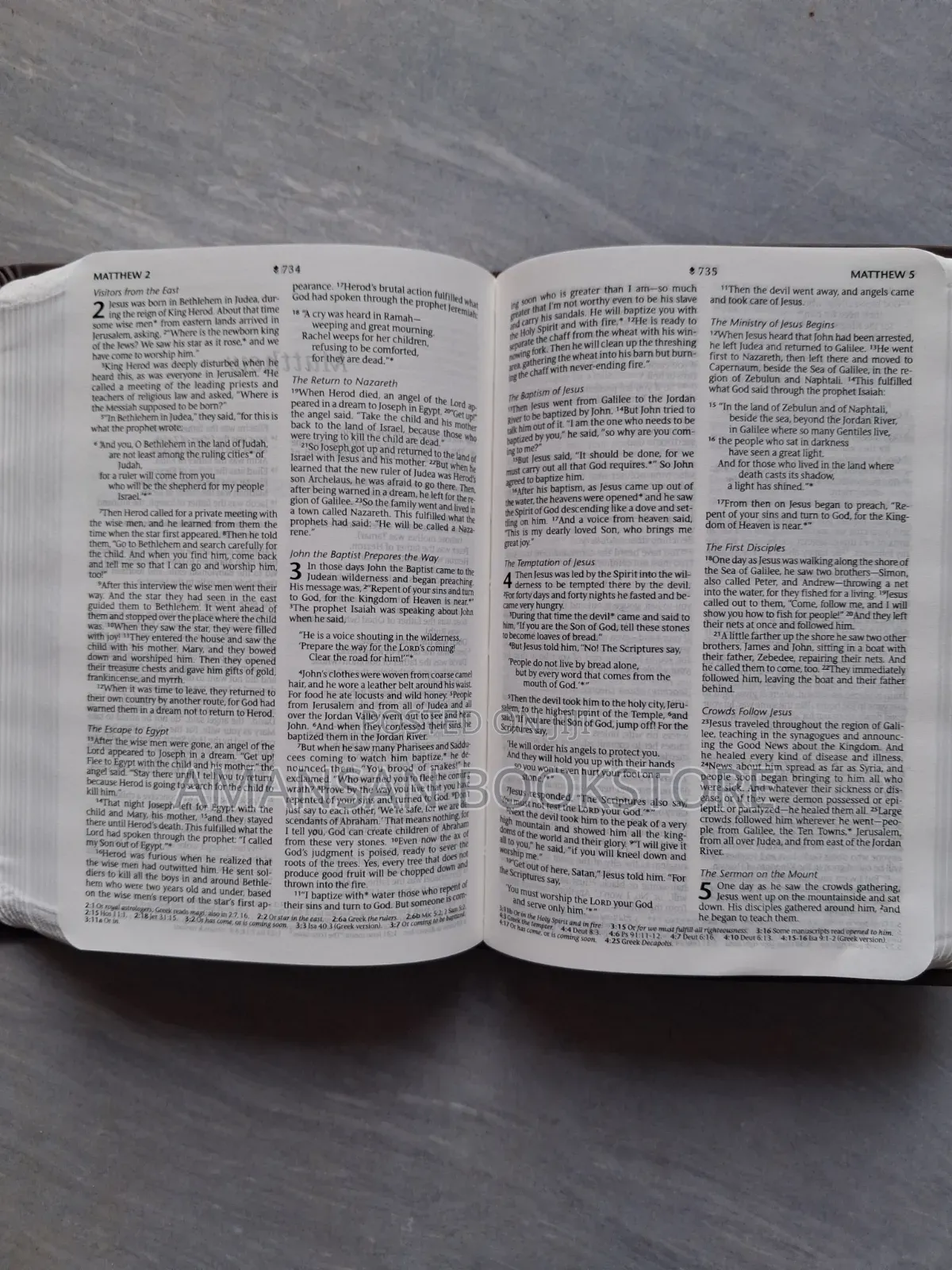 NLT Holy Bible (Small, Leather)