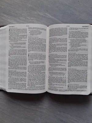 NLT Holy Bible (Small, Leather)