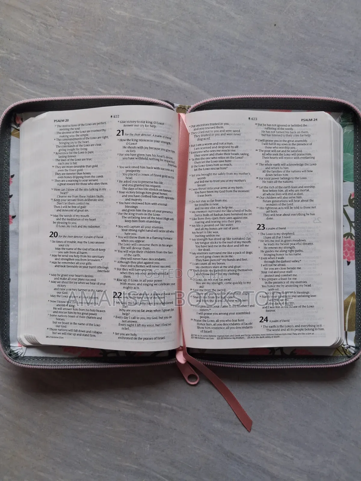 NLT Compact Zipper Bible (Tyndale)