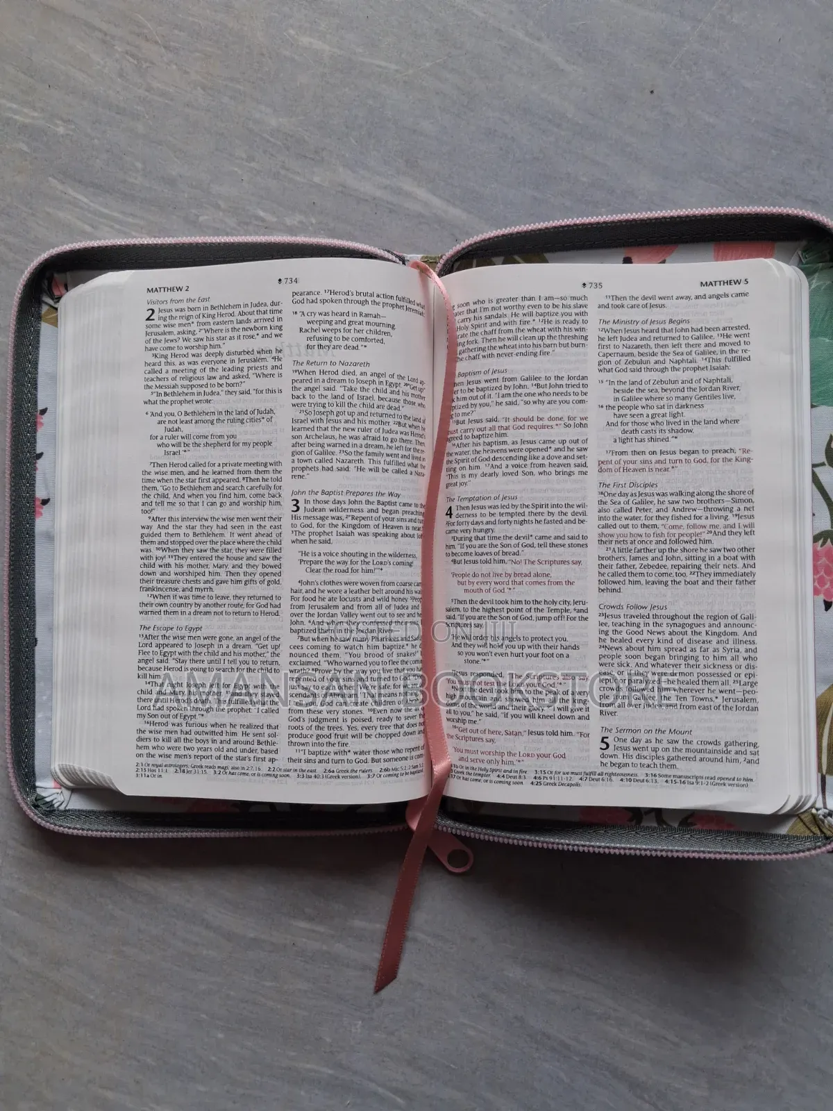 NLT Compact Zipper Bible (Tyndale)