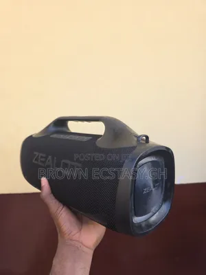 Zealot S79 Boombox (Pre-Owned)