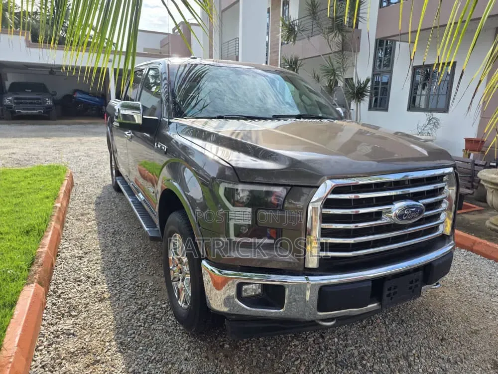 Ford F-150 2016 Brown